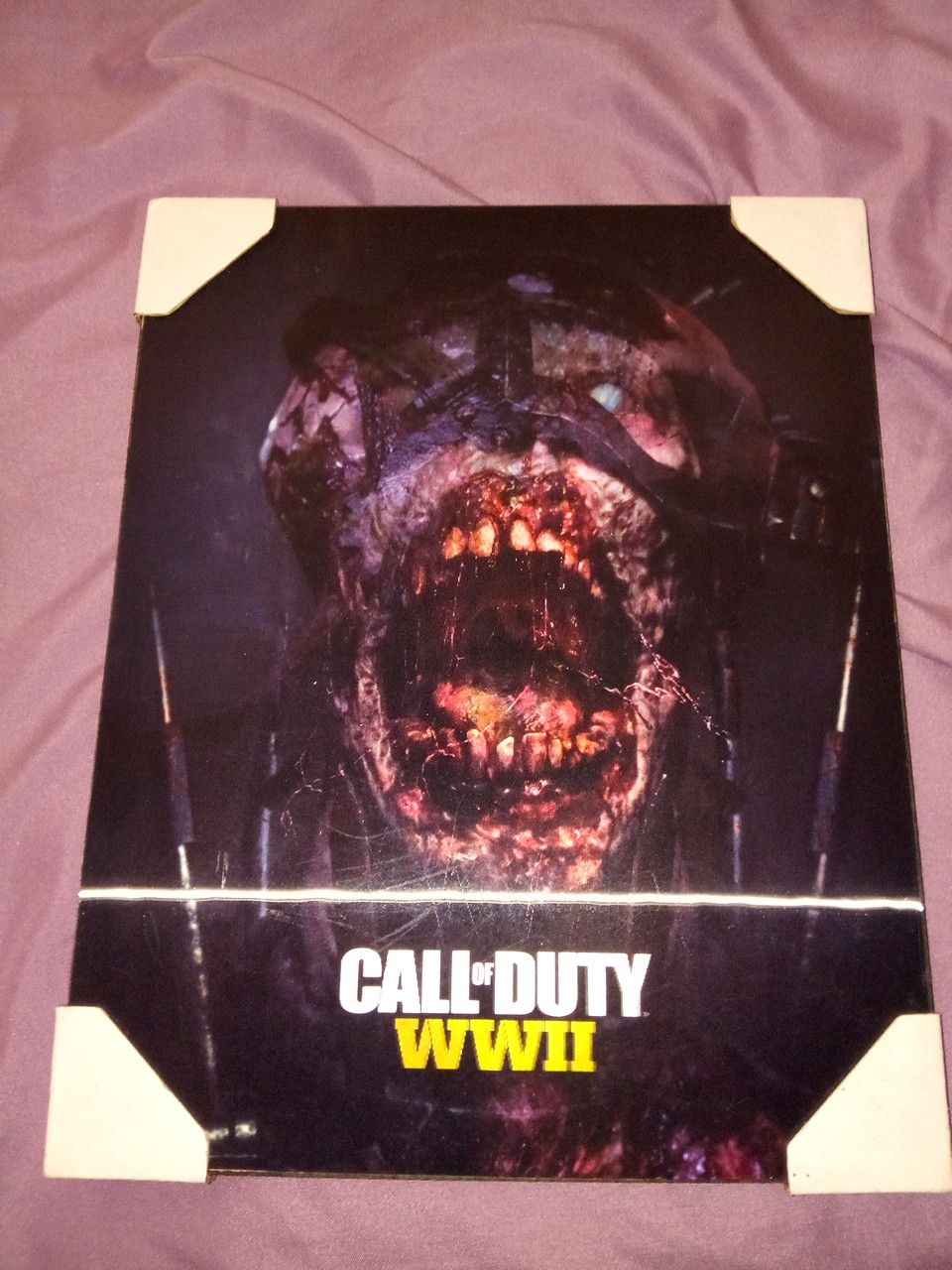 Call of duty holgrahic wall picture