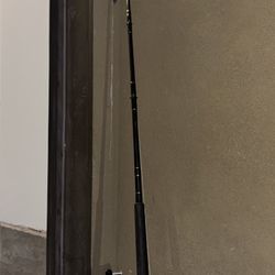 Power Stick Plus Fishing Rod