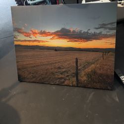 Canvas Painting 30x37in