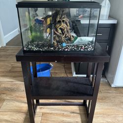 Fish tank With Stand 