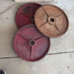 45 Pound Olympic Plates