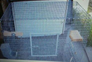 Chinchilla/ bunny  Great Cage 59.00 Great For Christmas Pet