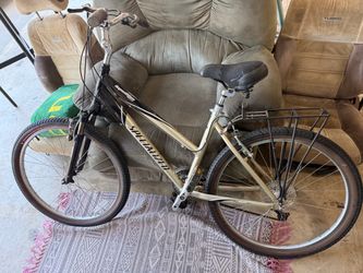 Expedition Deluxe Bike
