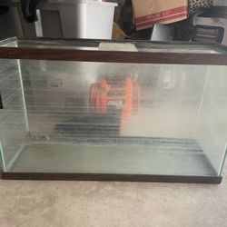 55 Gallon Fish tank 