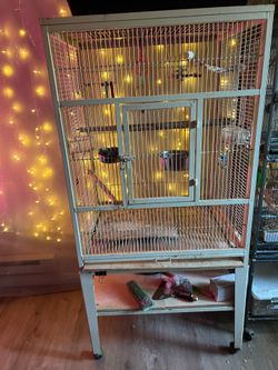 Bird Cage
