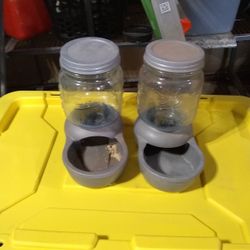 Cat Waterer And Feeder