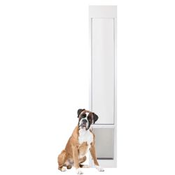 Dog Door