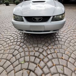 2001 Ford Mustang