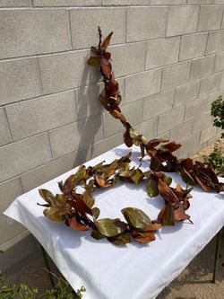 🍂 Two Six Foot long  Artificial Magnolia Branches 🍂 🔸Shapable and Like New 🔸