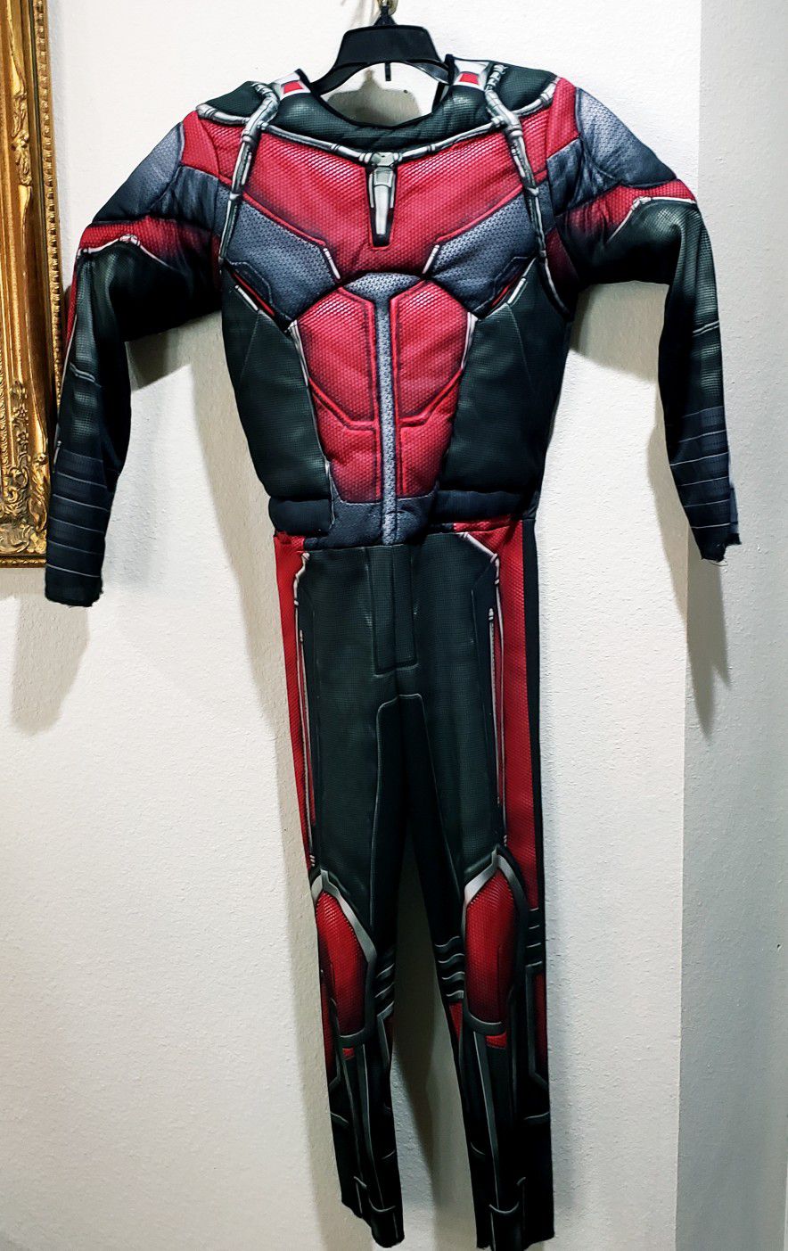 Ant Man Costume 
size Youth Large (12) 
Chest: 30-34 
Waist: 25-27
Height: 57-64
