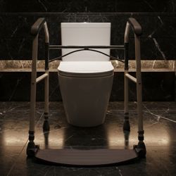 Premium Buckingham Healthcare Foldable Portable Toilet Frame