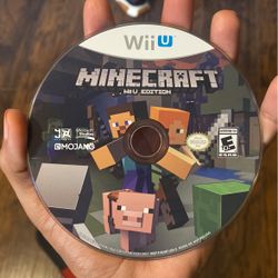 Minecraft Wii U 