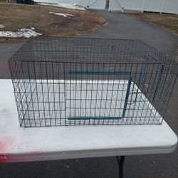 5 steel cages. Good for rabbits, chickens, pigeons. $10 a piece, or all 5 for $40.