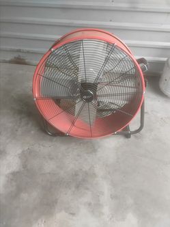 Fan