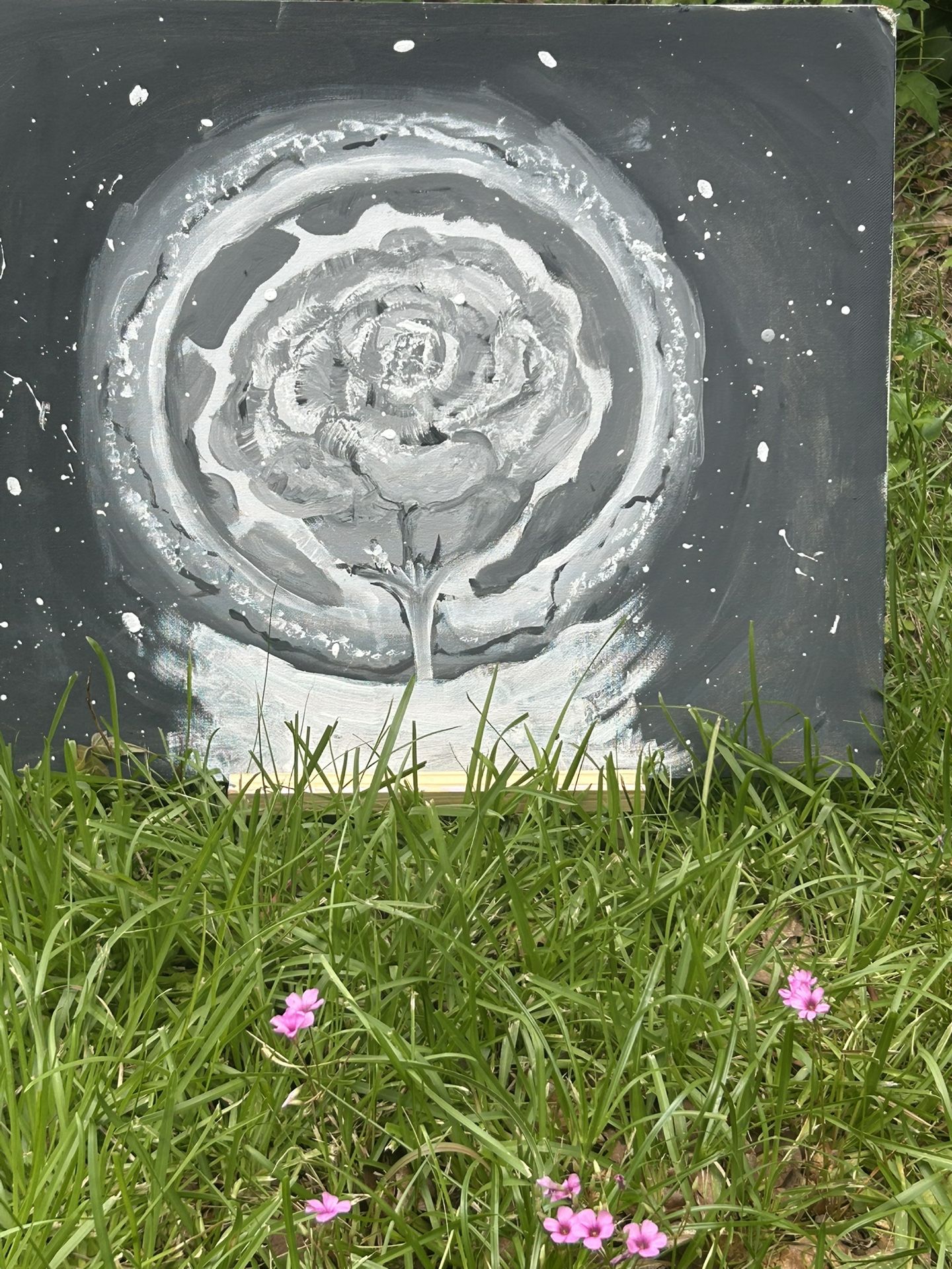 The Light Growing In Darkness