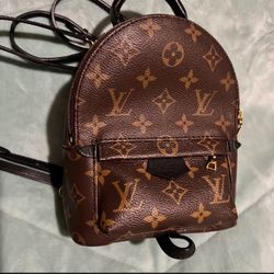 Louis Vuitton Palm Spring mini