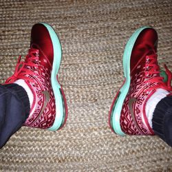 KD 6 Christmas Edition