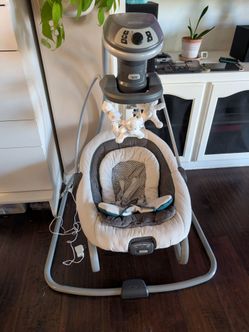 Graco Multi-Positional Swing