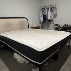 Bed Mattress