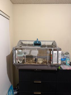 Free cage with items inside