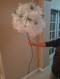 Dandelion Flower