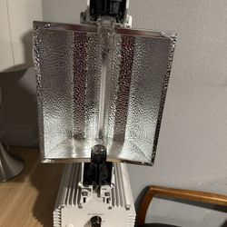 Gavita Pro 1000 Lights