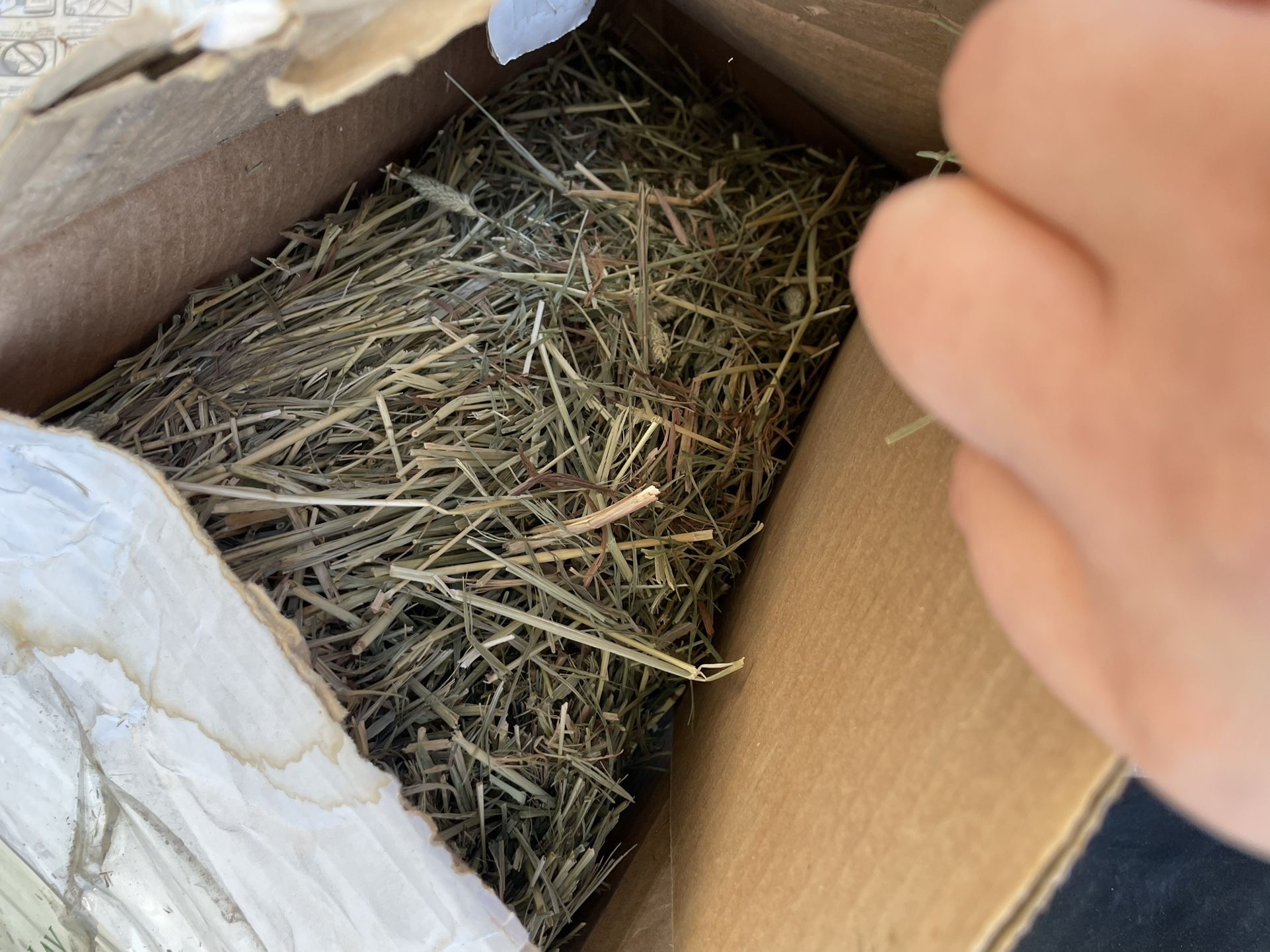 Hay For Sale