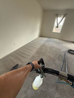 Steam carpet cleaner