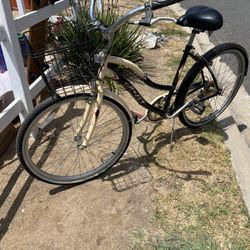 Beach Cruiser, Vintage Beauty 