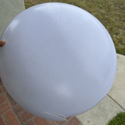 Free On The Curb
