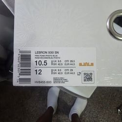 Nike LeBron  22 I Promise 