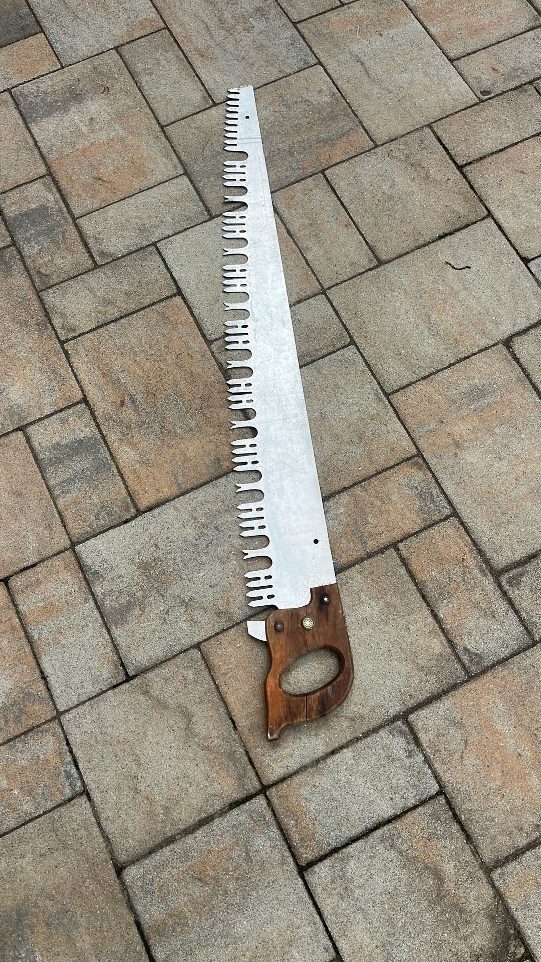 Vintage saw 48” Long