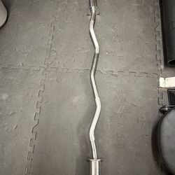 Gold’s Olympic Curl Bar