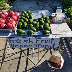 Fresh Fruit Honor Stand 