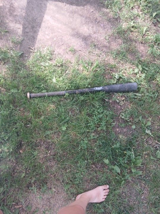Baseball Bat