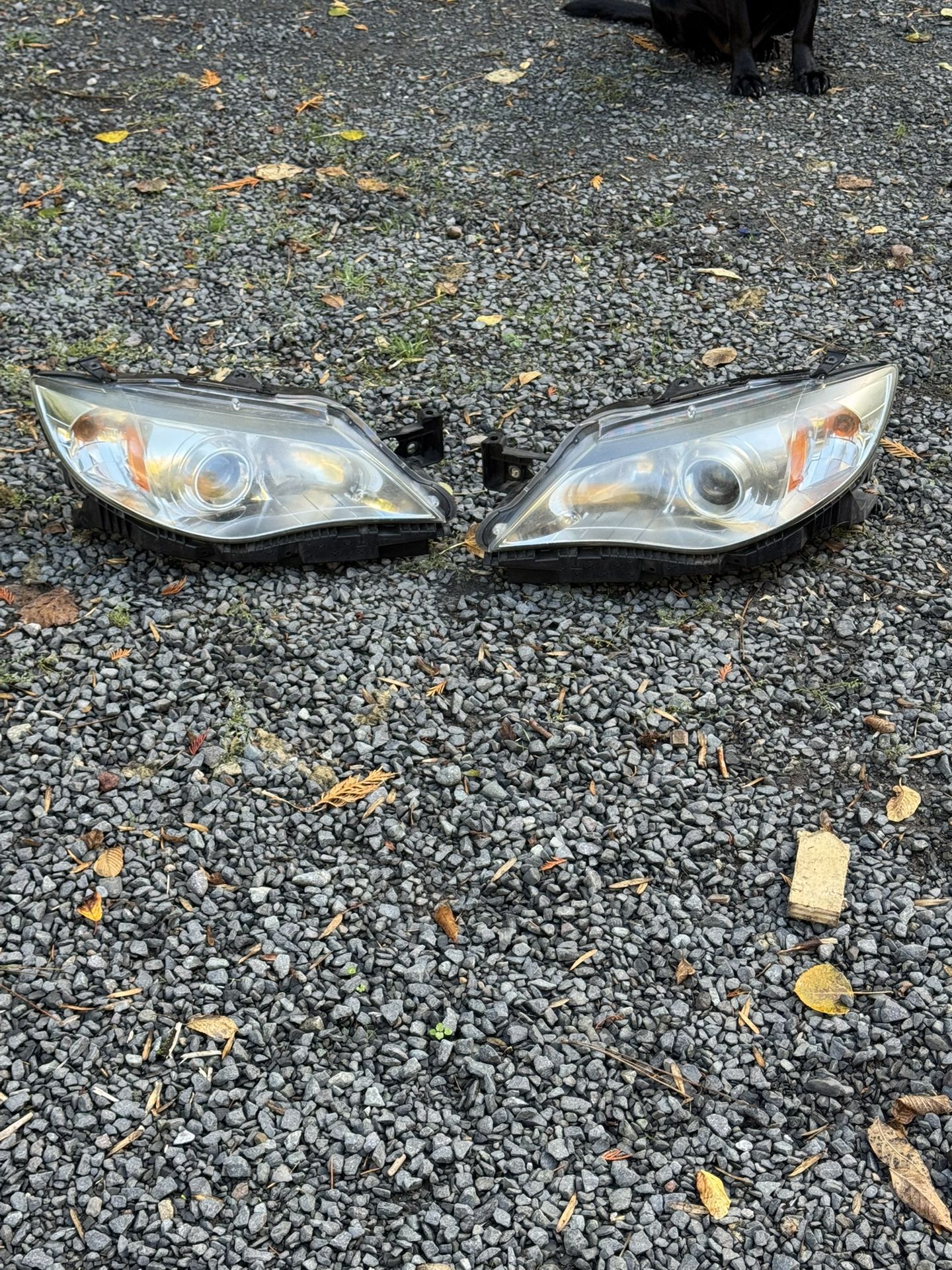 2011 WRX Headlights With Bulbs 