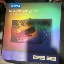 Govee TV Backlight T2