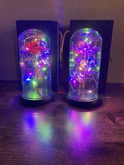 Shimmering single rose.