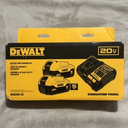 20V MAX Lithium-Ion Battery Starter Kit with 5.0 Ah Batteries (2-Pack) and Charger