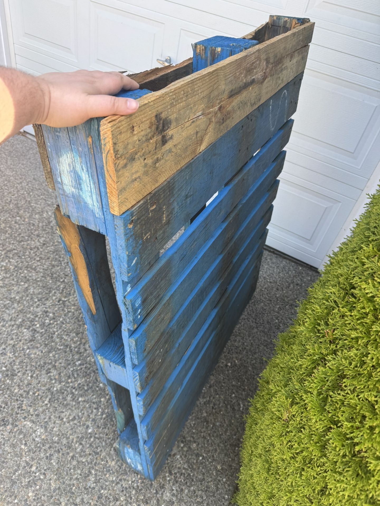 Free Heavy Duty Pallet