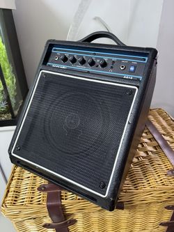Acoustic AG15 Acoustic Guitar Wedge Amplifier