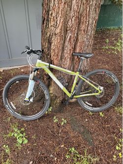 Nice REI Mountain bike