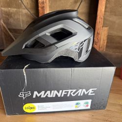 New Child’s Fox Helmet