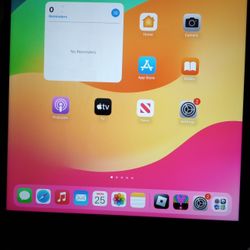 Ipad Brand New No Scratch Cracks Blemishes Or Passwords Or iCloud Locks