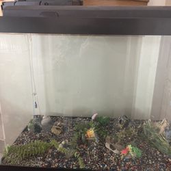 65 Gallon Fish Tank And Stand