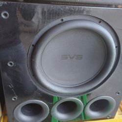 SVS Sound Professional Subwoofer With Built-in Amp