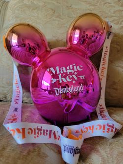 Disney Popcorn Bucket