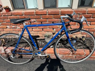 Schwinn Bike