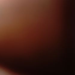 I want to adopt an e bike or mini bike