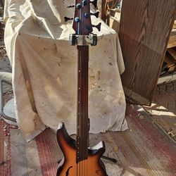 5-string Fretless Bass